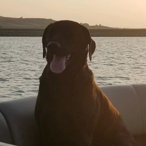 Meet your Posher, Peggy